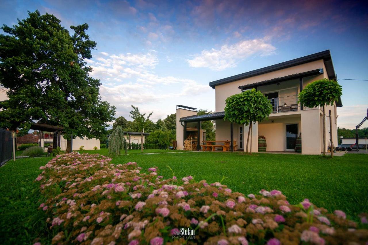 Kuce Za Odmor -Japin Breg Villa Thurdevac Exterior photo
